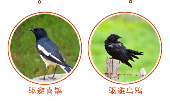 驅(qū)鳥(niǎo)香精包-鳥(niǎo)克-艾豐生物 驅(qū)鳥(niǎo)香精包-鳥(niǎo)克-艾豐生物