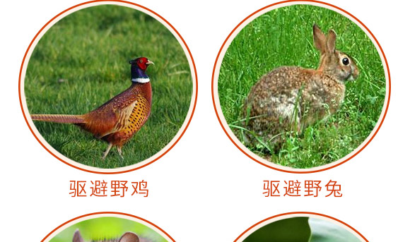 驅(qū)鳥(niǎo)香精包-鳥(niǎo)克-艾豐生物 驅(qū)鳥(niǎo)香精包-鳥(niǎo)克-艾豐生物
