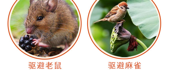 驅(qū)鳥(niǎo)香精包-鳥(niǎo)克-艾豐生物 驅(qū)鳥(niǎo)香精包-鳥(niǎo)克-艾豐生物