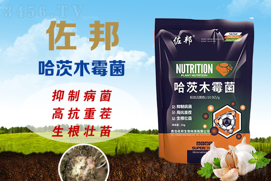 زpa(chn)20%ٲξľù߿ز