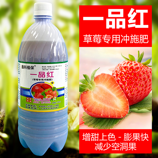 草莓专用冲施?一品红-鑫科植保.jpg