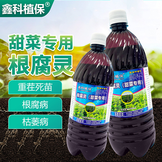 甜菜专用根腐?鑫科植保.jpg