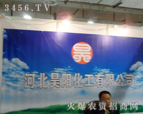 河北昊陽化工有限公司