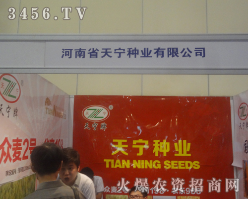 河南省天寧種業(yè)在2013河南夏季種子會奮發(fā)進取