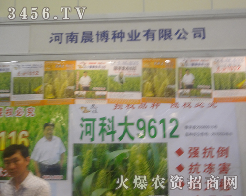 河南晨博種業(yè)在種子會風(fēng)采迷人