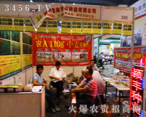 河南潁豐種業(yè)在鄭州夏季種子會(huì)上面向空白區(qū)域招商
