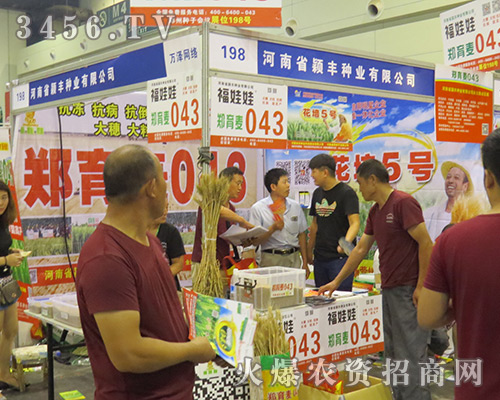 河南省穎豐種業(yè)有限公司震撼亮相2016鄭州夏季種子會(huì)!