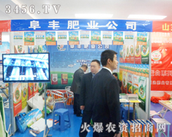 SʘI(y)2013շpϻ