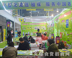 31ֲ(hu)A滯h(yun)