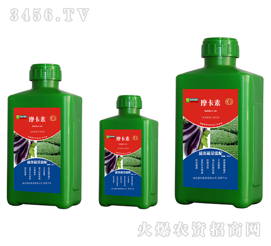 ߲ˌðҺķ-Ħ-(qing)о