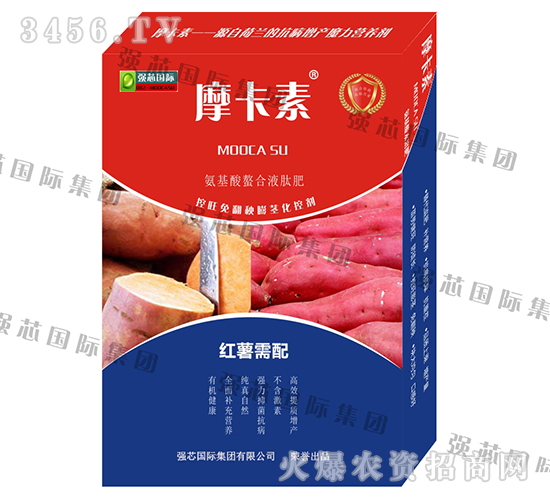 t팣(zhun)ðҺķ-Ħ