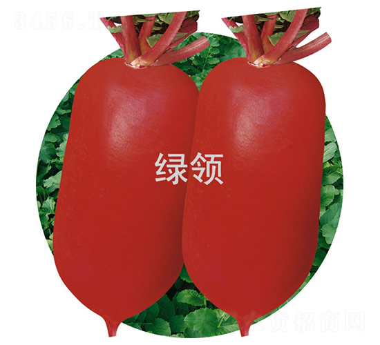 ļt3̖(ho)-}N-GI(lng)NI(y)