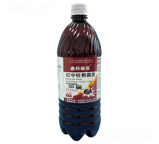 ݮ(zhun)Ú-t`-οֲ