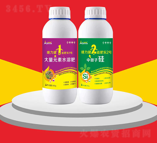 a(chn)(zhun)ײ-O-