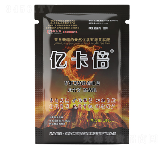 100g|ЙC(j)|(zh)-|̼