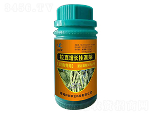 豆角專用拉直增長掛滿架-科創(chuàng)農(nóng)業(yè)