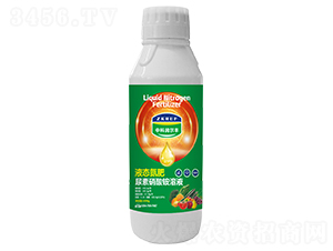 1000gҺB(ti)-пƝ(rn)S