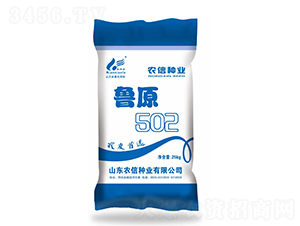 魯原502-小麥種子-農信種業(yè)