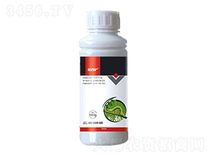 2.5%(lin)-ΰo(h) 
