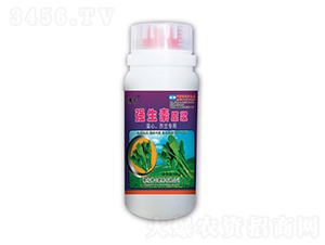 mÏ(qing)ԭ{-