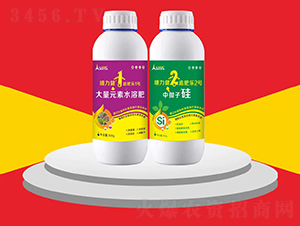 a(chn)(zhun)ײ-O-