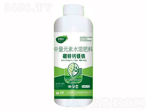 1300g\}VF-ِʩ-sҫrI(y) 