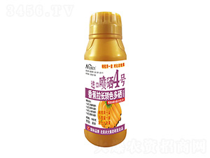 500㽶LD(zhun)ɫM(jn)ڇ4̖(ho)-r(nng)