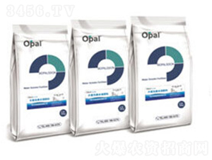 OPAL(gu)a(chn)ˮܷ-W㘷(l)