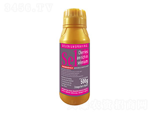 500܇?yn)әD(zhun)ɫ1̖(ho)-r(nng)