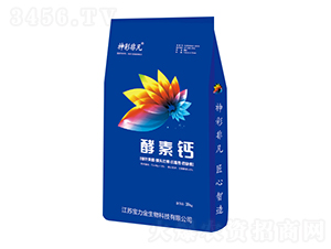 酵素鈣-神彩非凡-寶力金