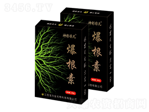 爆根素-神彩非凡-寶力金